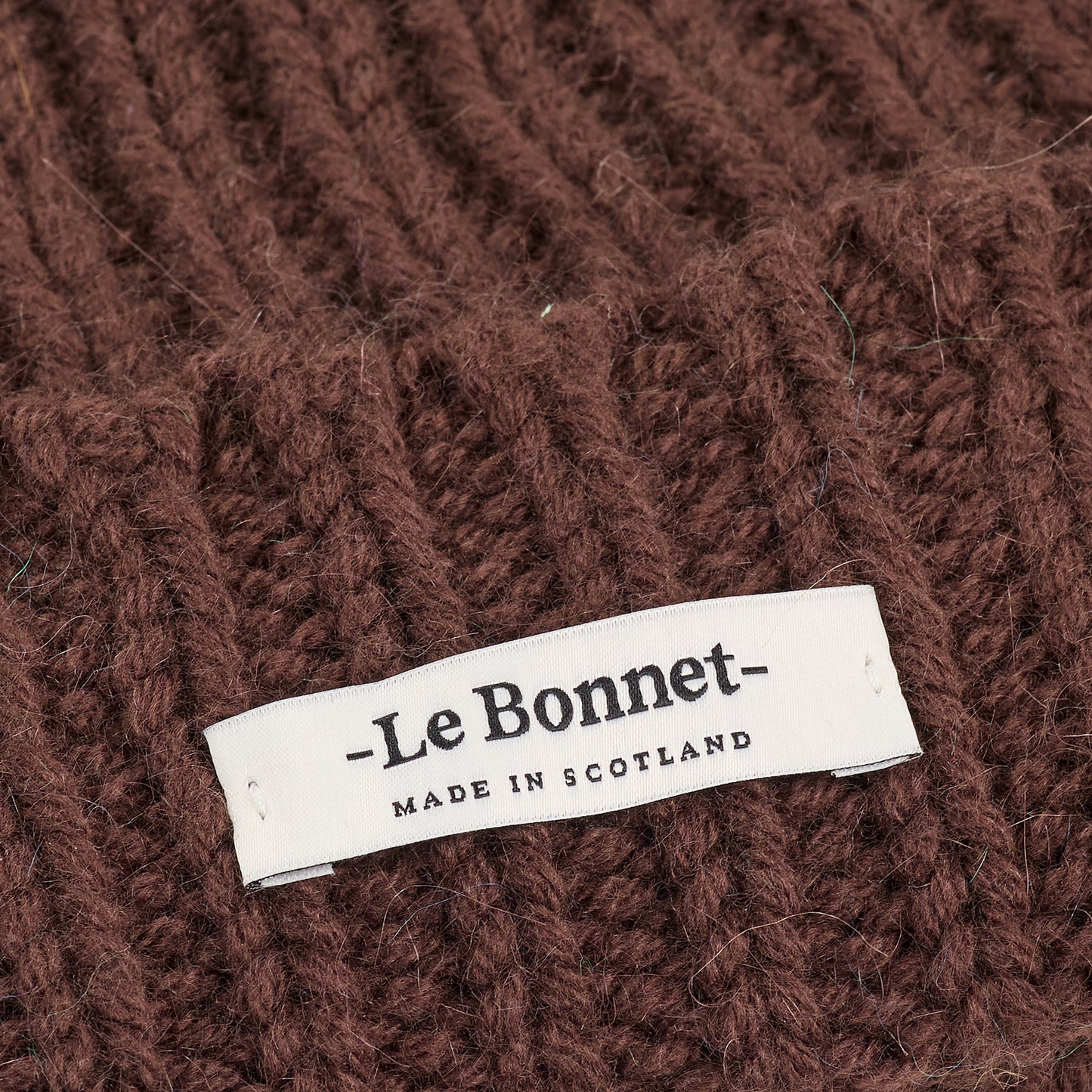 Beanie Logo, Gingerbread