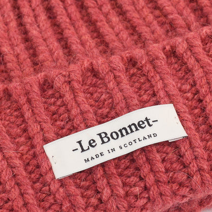 Beanie Logo, Terra