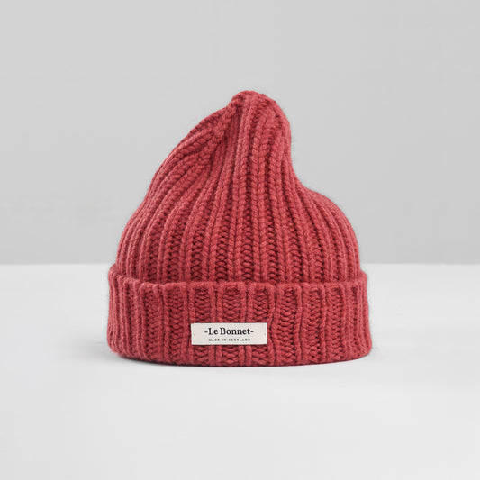 Beanie Logo, Terra